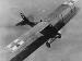 DFW C.V (Av), possibly '5' from FA (A) 264, in flight (0348-112)